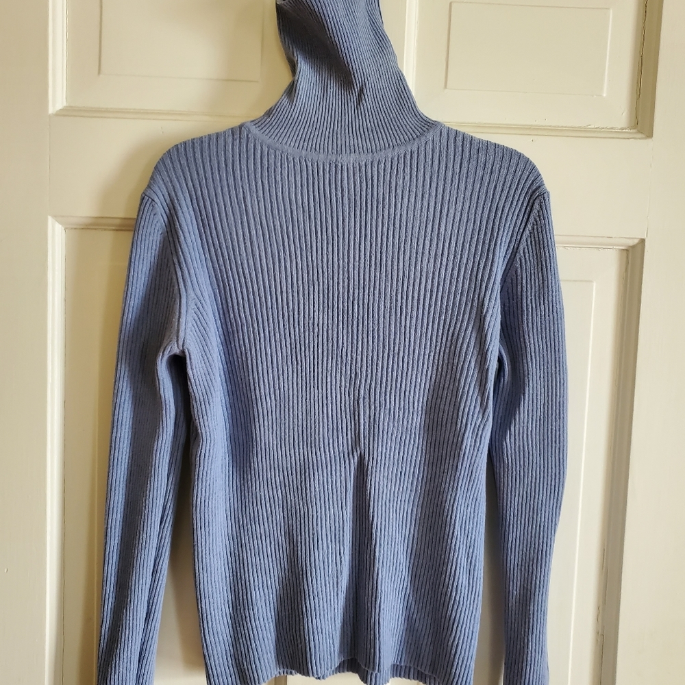 Express Cornflower Blue Turtleneck